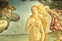 The Birth of Venus